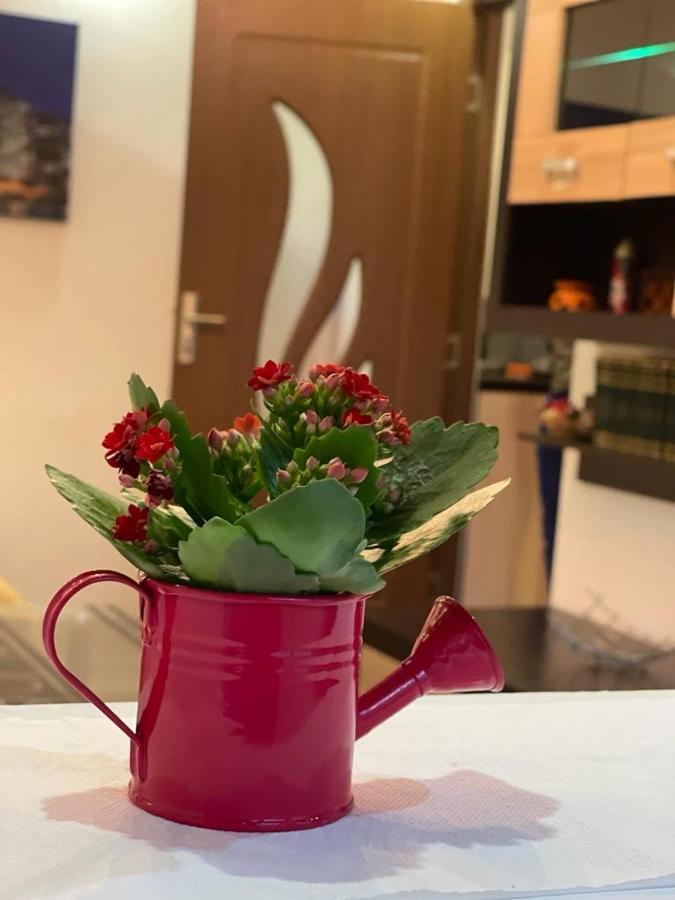 Bucuresti Comfort Apartment Ngoại thất bức ảnh